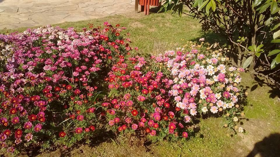 Alen Do Mis - Hotel Rural Foz Bagian luar foto